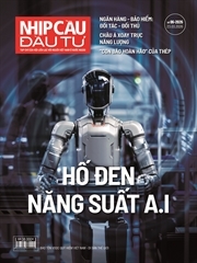 Nền kinh tế vô bằng