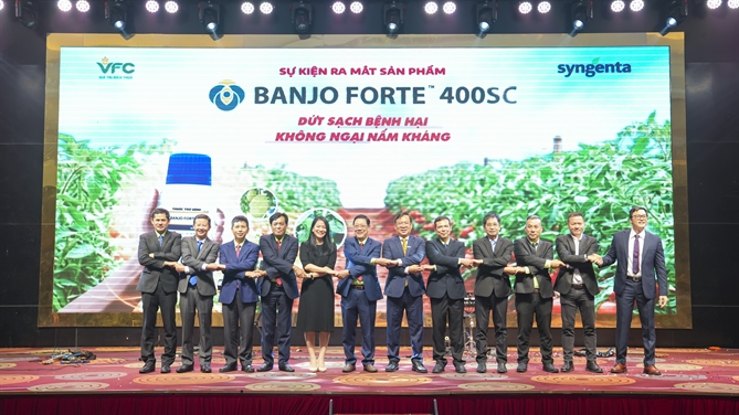 VFC ra mắt sản phẩm mới Banjo Forte 400SC: Giải pháp “Dứt sạch bệnh hại, không ngại nấm kháng” Lời cam kết đồng hành từ Ban lãnh đạo Syngenta và VFC với các nhà phân phối và khách hàng bán lẻ trong hành trình phát triển sản phẩm Banjo Forte 400SC đến với thị trường và người nông dân góp phần vào những mùa màng bội thu.