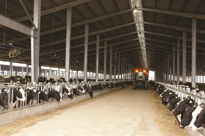 Chính phủ đặt mục tiêu xây dựng một ngành công nghiệp chế biến sữa phát triển bền vững, sở hữu chuỗi giá trị hoàn chỉnh từ khâu đầu tiên là phát triển đàn bò sữa cho đến khâu cuối cùng là sản phẩm thành phẩm với giá trị gia tăng vượt trội.