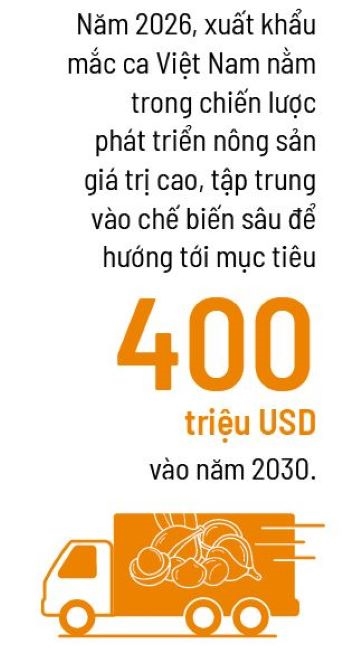 Để mắc ca không lạ, cũng không đắt