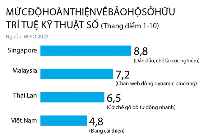 Vùng xám của chất xám