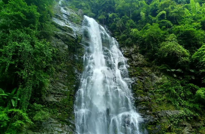 Trà không đường TH true TEA được sản xuất từ những lá trà hoàn toàn tự nhiên, ủ kỹ lưỡng bằng nguồn nước tinh khiết từ mạch nước ngầm núi lửa triệu năm tại Núi Tiên (Nghệ An) mang đến trải nghiệm thưởng thức đậm đà, thanh mát khi sử dụng