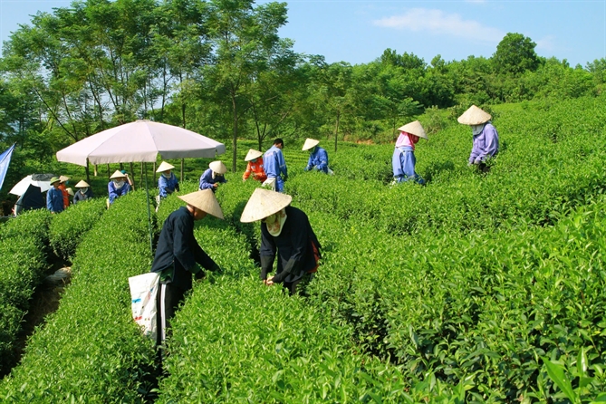 Khi phát triển bền vững không còn là nghĩa vụ mà là lợi thế cạnh tranh Masan Group góp phần giải quyết việc làm tại địa phương.
