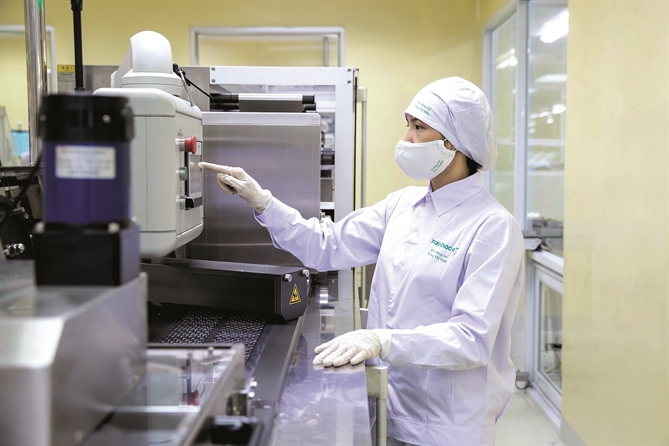 Tái thiết ngôi vị ngành dược Ảnh: TL