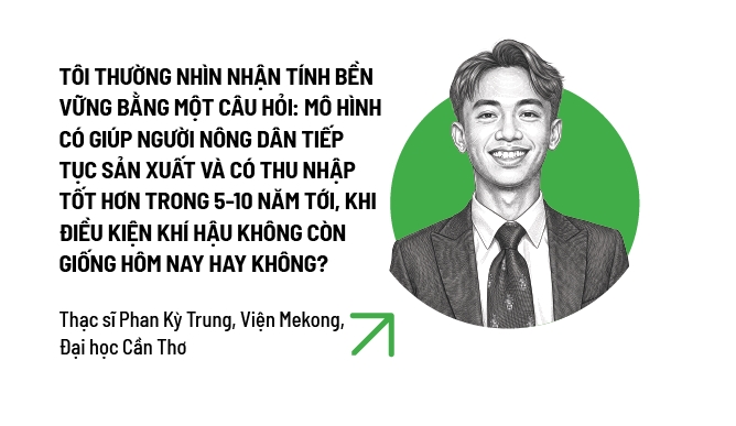 Cú cược của Sokfarm