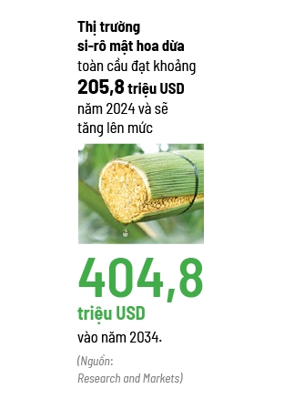 Cú cược của Sokfarm