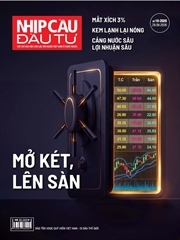 Vốn Việt xuất ngoại