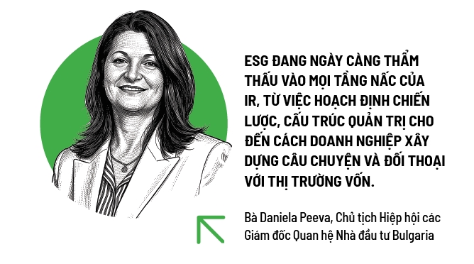 Giải mã hệ số P/E xanh