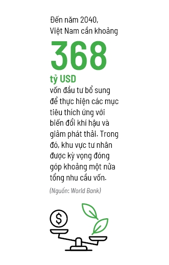 Giải mã hệ số P/E xanh